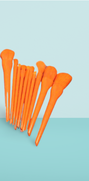 10 Pcs Professional Makeup Brush Set – Face, Eyes & Lips | Concealer, Blush, Eyeshadow, Highlighter | Orange & Green Colors